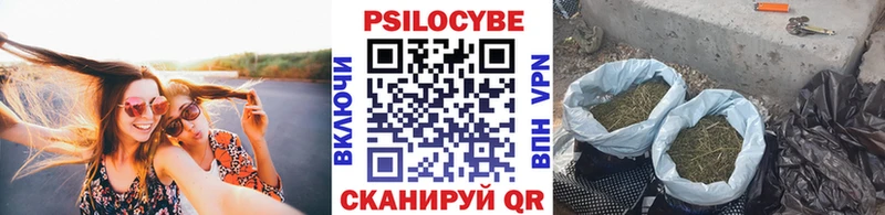 магазин  наркотиков  Вилюйск  ссылка на мегу   Галлюциногенные грибы Psilocybe 
